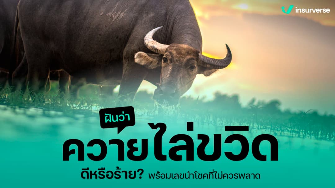 Graphic Design 2